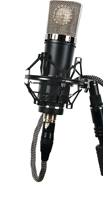 LA-220 Large Diaphragm FET Studio Condenser Microphone