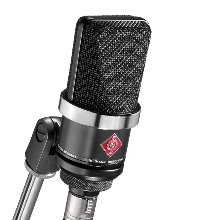 TLM 102 BK Large-diaphragm Condenser Microphone Studio SE